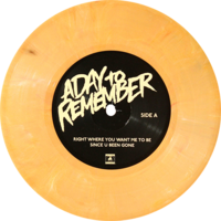 A Day To Remember - Attack Of The Killer B-Sides