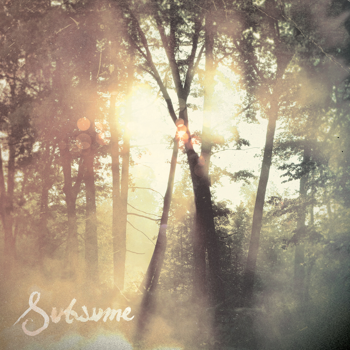 subsume means