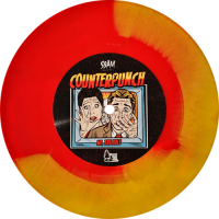 Counterpunch - Handbook For The Recently Debriefed / We, The Role