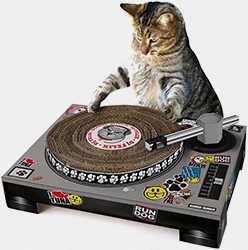 Cat Scratching DJ Deck